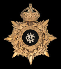 Kings Crown Army Veterinary Corps Blue Cloth Officers Helmet Plate