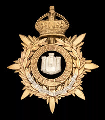 Kings Crown The Devon Regt Blue Cloth Officers Helmet Plate