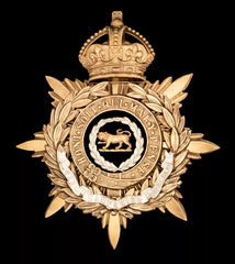 Kings Crown The Hampshire Regiment Blue Cloth Officers Helmet Plate
