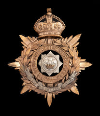 Kings Crown The Cheshire Regiment Blue Cloth Officers Helmet Plate