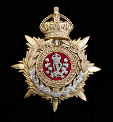 Kings Crown The Royal Irish Blue Cloth Helmet Plate