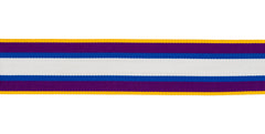 Border Force And Immigration Enforcement LSGC Ribbon Option Sizes