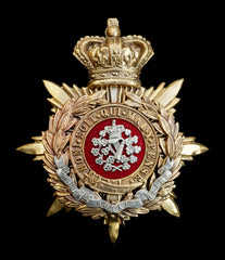 The Royal Irish Blue Cloth Officers Helmet Plate