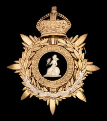 Kings Crown The Norfolk Regiment Blue Cloth Officers Helmet Plate