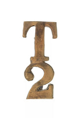 2nd Territorial Battalion T2 Shoulder Title