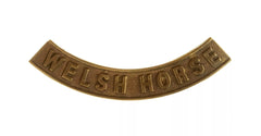 Welsh Horse Shoulder Title Brass Metal