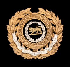 The Hampshire Regiment Officers Slouch Badge