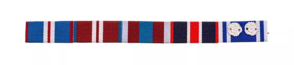 Queens Jubilee Gold, Diamond, Platinum, Kings Coronation & Police LSGC Rosette's