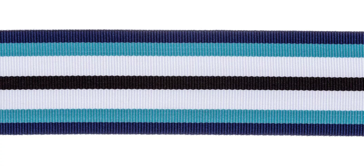W49. New Zealand Special Service (Erebus) Medal Ribbon Select Option Size